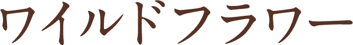 ワイルドフラワー