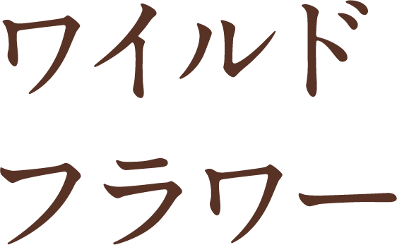 ワイルドフラワー